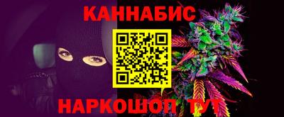 a pvp Камышлов