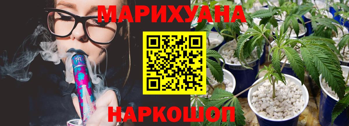 Шишки марихуана семена Курчалой